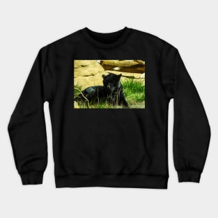 Black Panther Crewneck Sweatshirt